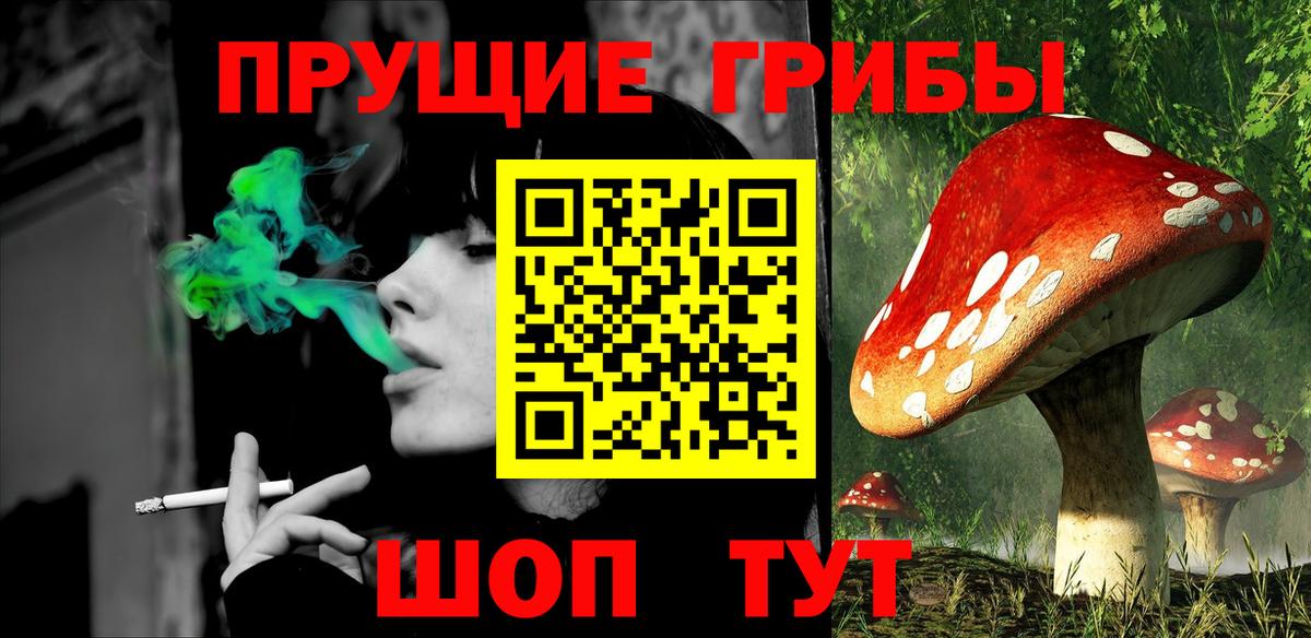 Псилоцибиновые грибы GOLDEN TEACHER Архангельск