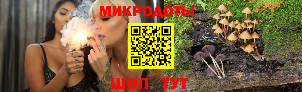 Галлюциногенные грибы Cubensis  закладки  Архангельск  Вход с VPN 