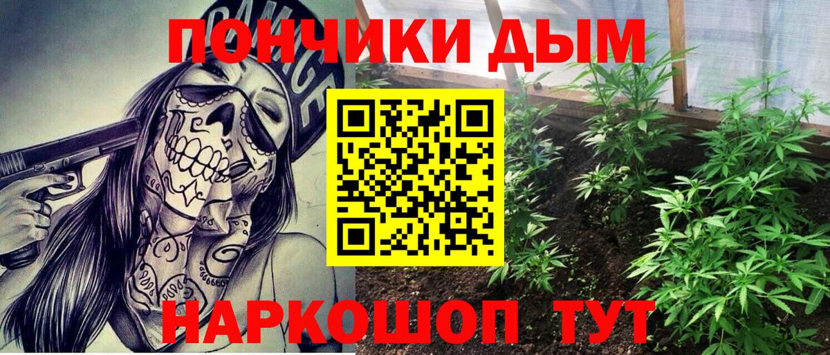 Бошки марихуана гибрид  Бошки Шишки конопля  Вход с VPN  Архангельск 